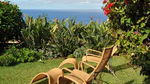 Un jardín con dos sillas de mimbre, vistas al océano y abundante vegetación.