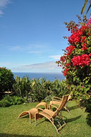 Property grounds - Comfortable home with a beautiful blooming garden and a view of the Atlantic (La Victoria)