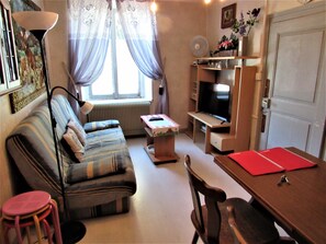 TV, DVD player, books, video library