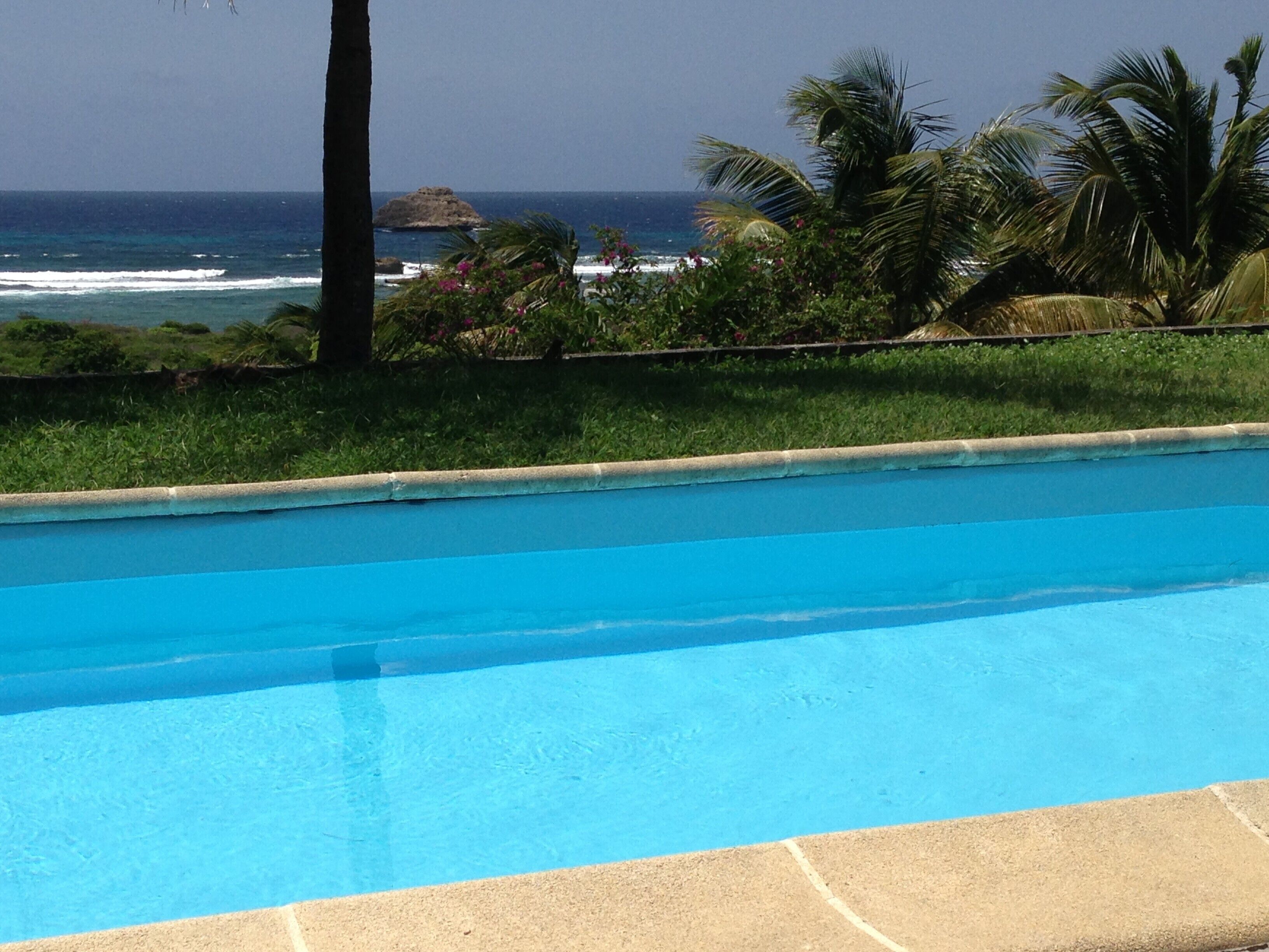 A swimming pool with a view of the ocean and palm trees.