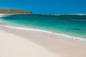 بالقرب من الشاطئ