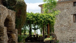 A stone building with a rustic stone wall and a small cat resting on the ground. - Cottage on the Cevennes foothills with exceptional views (Sumene)