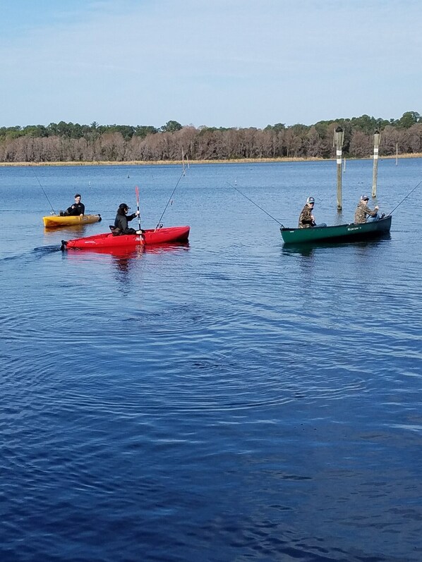Three kayaks on a calm body of water with a forested shoreline in the background. - Lake Rouseau Waterfront, Wifi, great sunsets, fireplace & fire-pit, pet friendly (Crystal River)