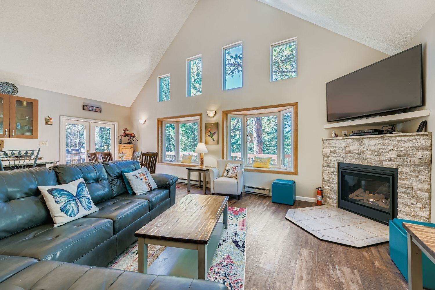 TV connectée, cheminée, lecteur de DVD, livres