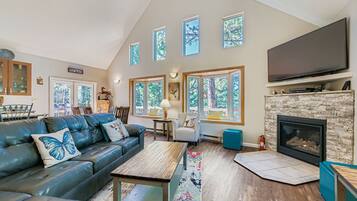 TV connectée, cheminée, lecteur de DVD, livres