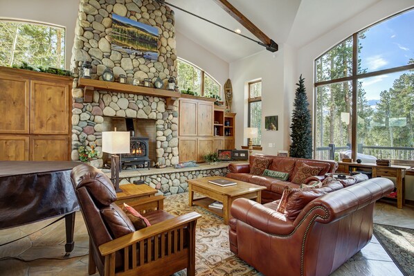 Smart TV, fireplace, DVD player, books