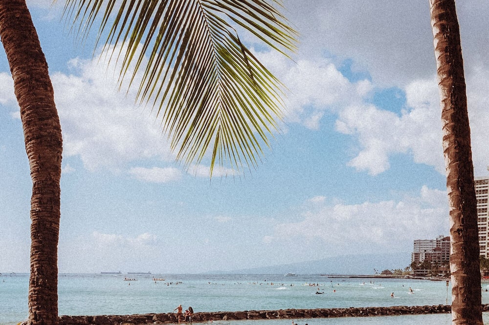 Royal Grove Waikiki