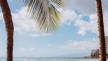 Playa en los alrededores