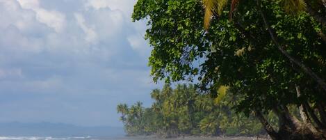 Nær stranden, solsenger og strandhåndklær