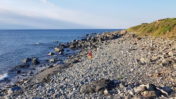 Plage, chaises longues, serviettes de plage