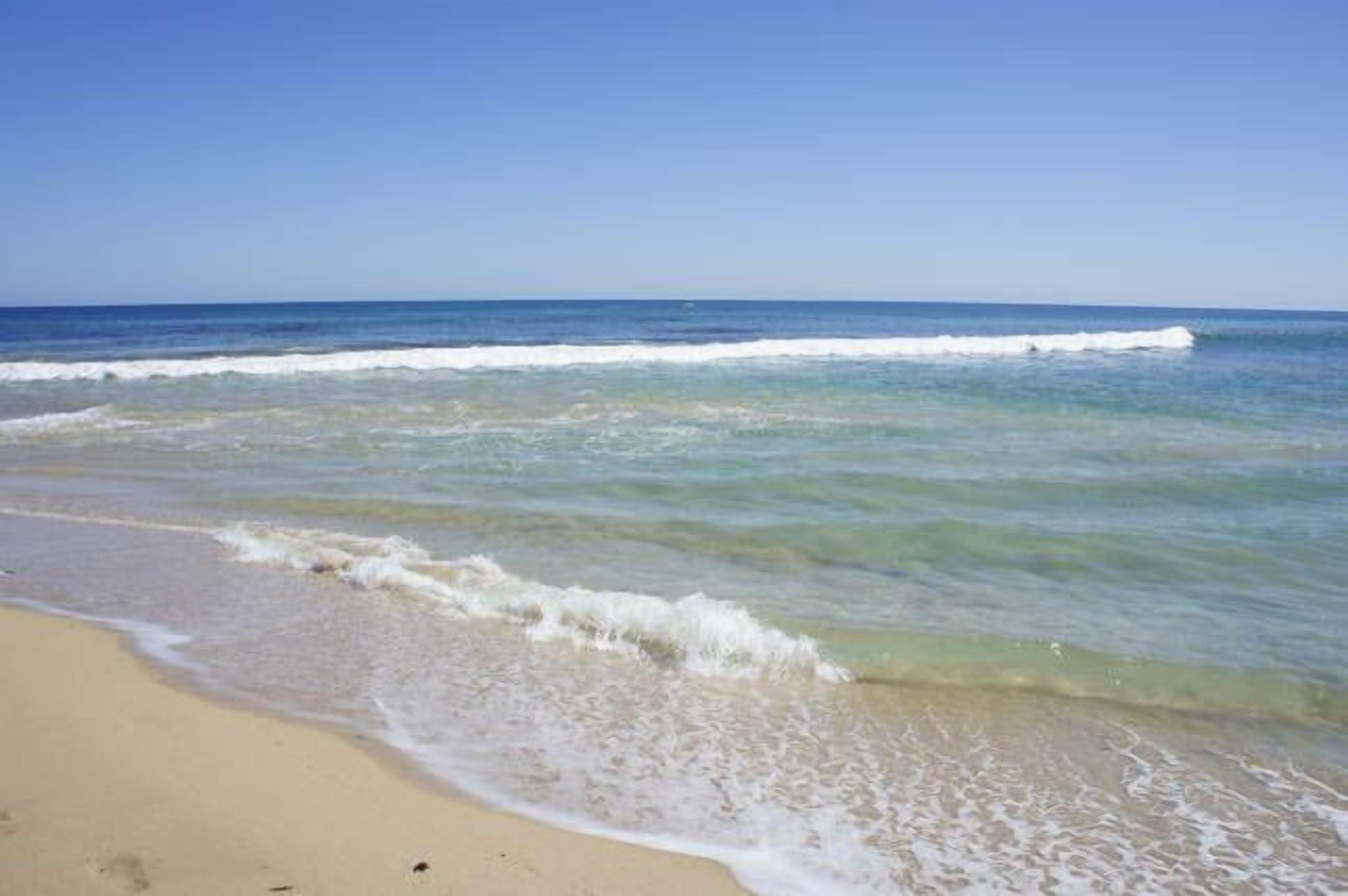 Beachfront Holiday House - Pet friendly Ocean Frontage — image 24
