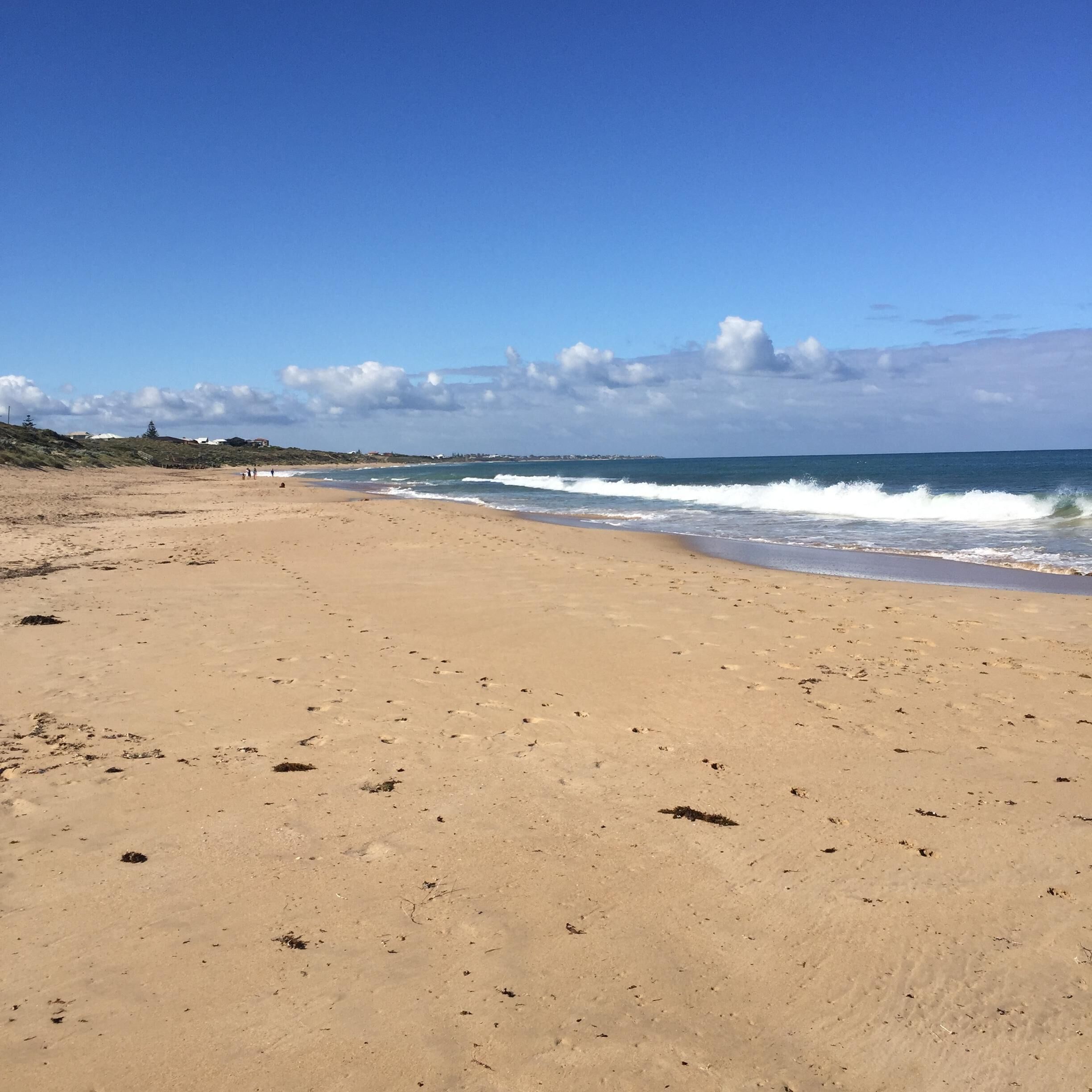 Beachfront Holiday House - Pet friendly Ocean Frontage — image 21