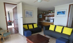 Smart TV, fireplace, DVD player, books
