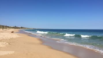 En la playa, sillas reclinables de playa