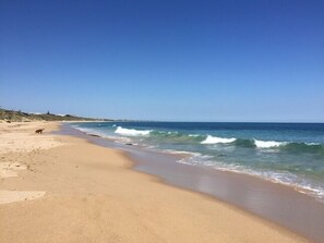 A beach with a dog on the sand and waves approaching the shore. - Beachfront Holiday House - Pet friendly Ocean Frontage (Mandurah)