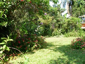 Property grounds - HOUSE IN THE MIDDLE OF NATURE (Florianopolis)