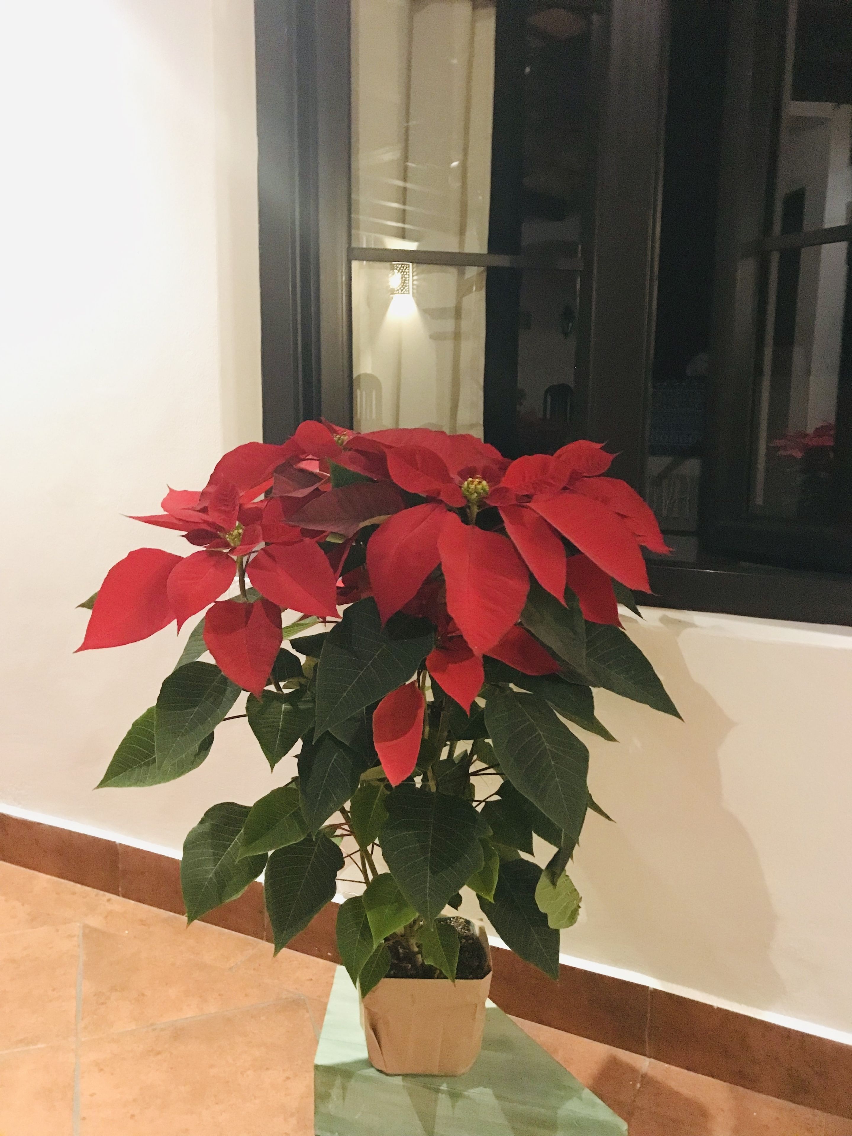 29-inch tv with cable channels