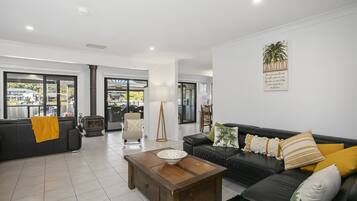 TV connectée, cheminée, lecteur de DVD, livres