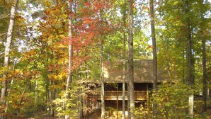A cabin surrounded by trees with autumn foliage.