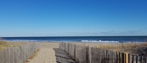 Playa en los alrededores