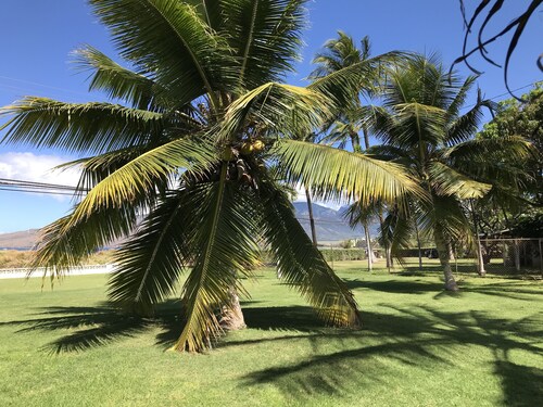 Your Maui Beachfront Retreat & Private Observation Deck - PERMIT #STKM 2015/0003