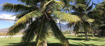  Ocean view home on beautiful Sugar/Kihei Beach  - PERMIT #STKM 2015/0003