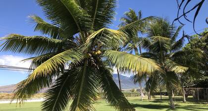 Your Maui Beachfront Retreat & Private Observation Deck - PERMIT #STKM 2015/0003