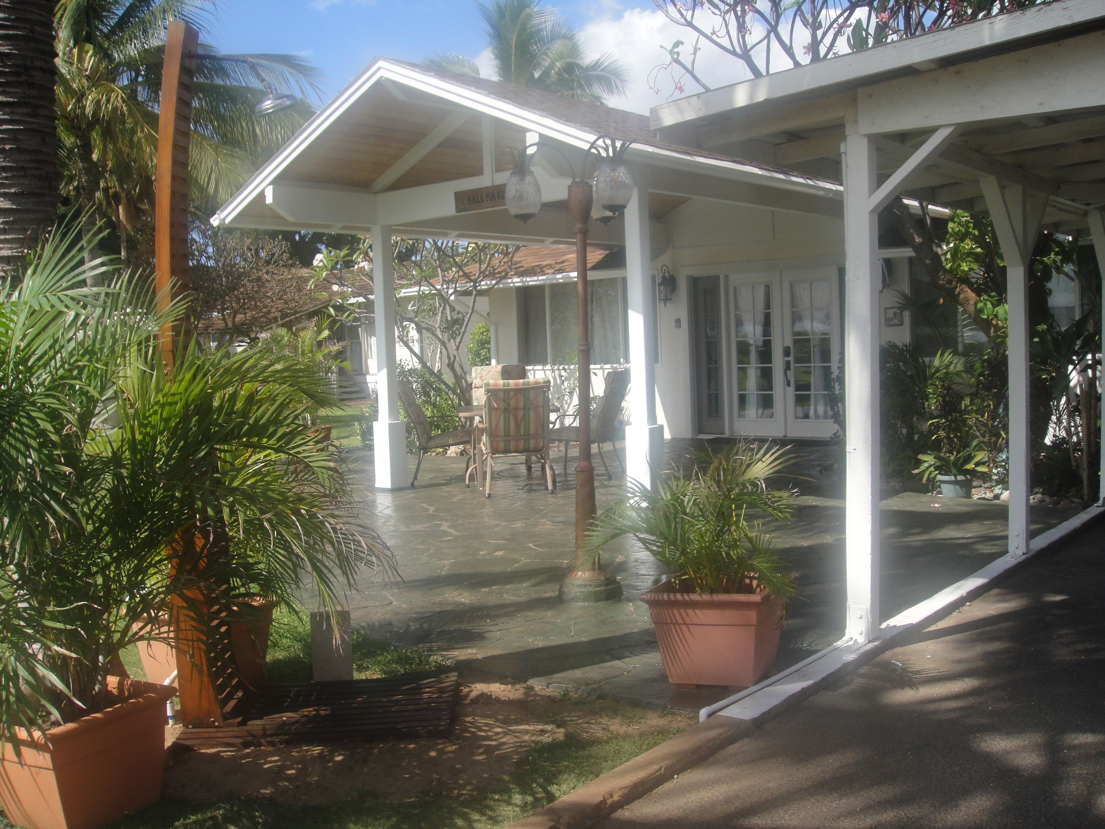 A covered patio area with a table and chairs, surrounded by potted plants and palm trees.