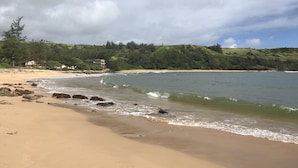 Une plage avec un rivage sablonneux, des vagues et une colline boisée en arrière-plan.
