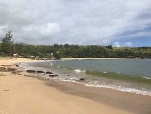 Beach nearby - Elegant Secluded Beach Estate Plantation in Moloaa Bay, Hi Kauai TVR 4180 (Anahola)