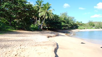 Una spiaggia nelle vicinanze