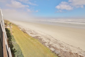 Apartment | Beach/ocean view - Las Brisas 424 Apartment 2 (New Smyrna Beach)