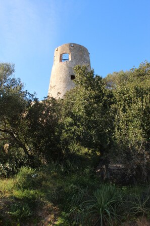 Ein steinerner Turm mit kreisförmigem Fundament und einem kleinen Fenster, umgeben von dichtem Grün.