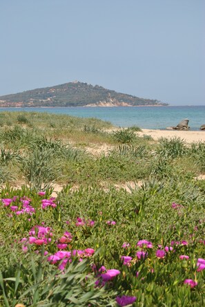 In Strandnähe