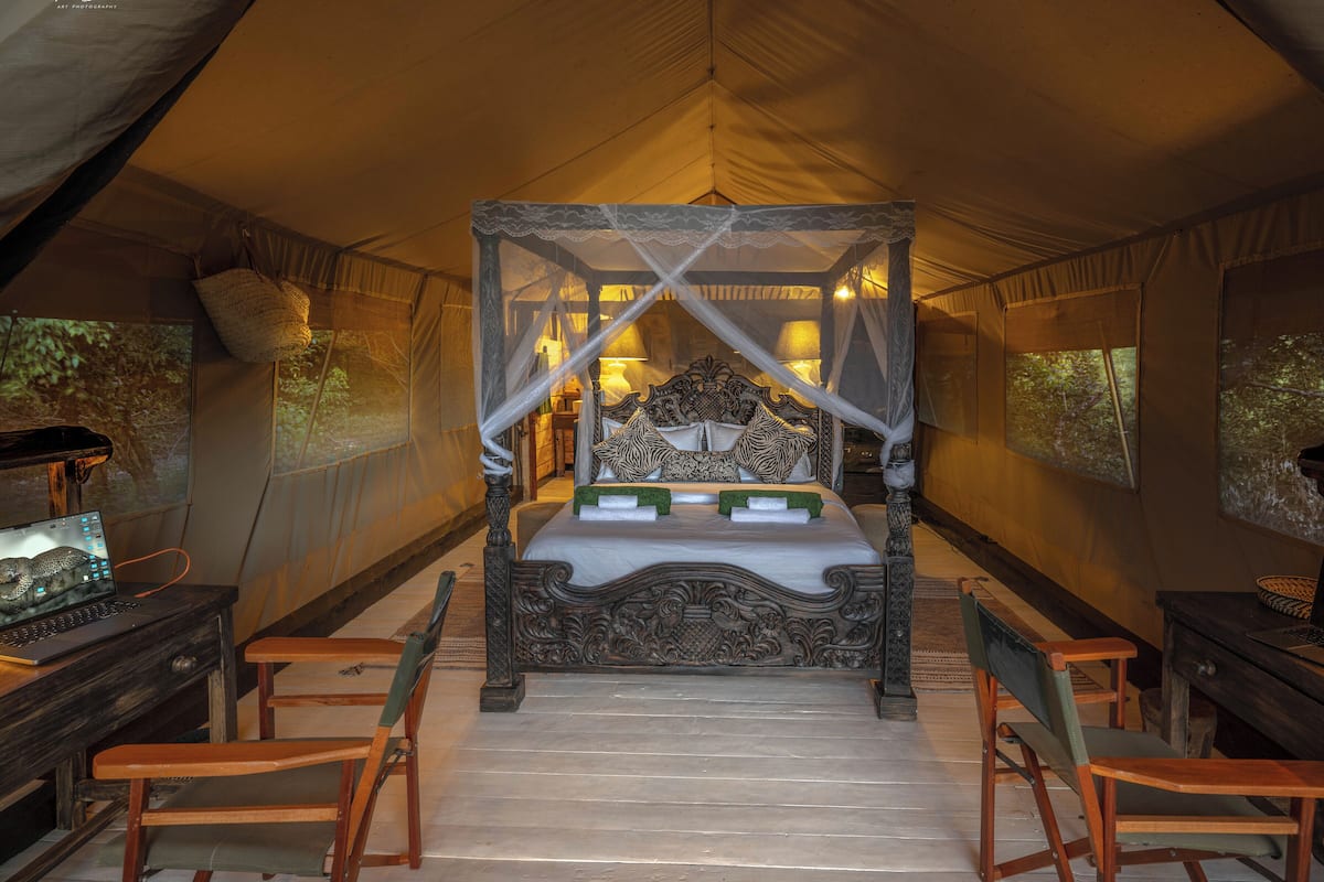 Deluxe Tent, 1 Queen Bed, Private Bathroom, Park View | 1 bedroom, premium bedding, down comforters, memory foam beds