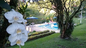 Zona de piscina con vista despejada, rodeada de vegetación y algunas sillas de descanso.