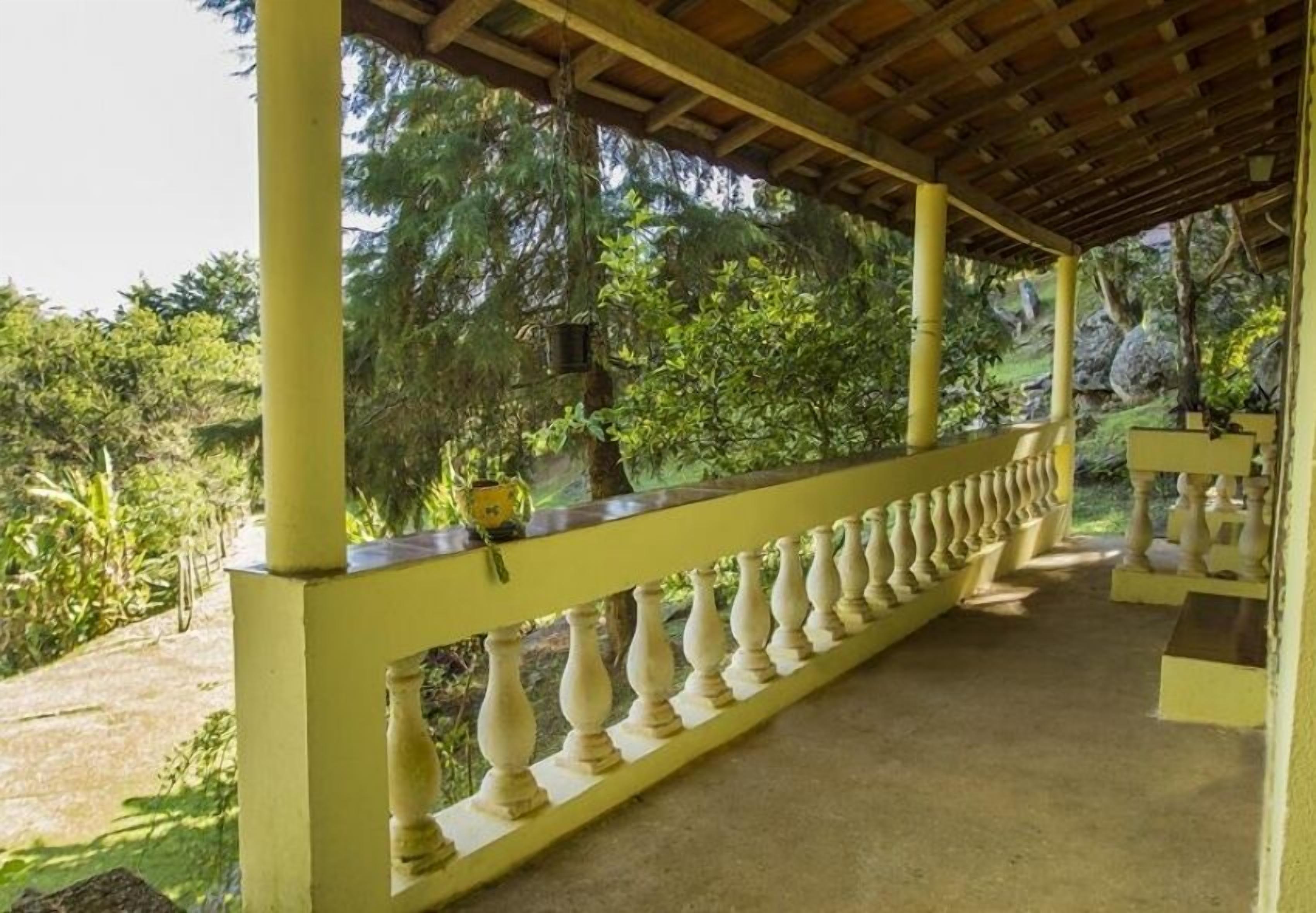 Un espacio al aire libre cubierto con barandilla amarilla, rodeado de follaje y árboles.