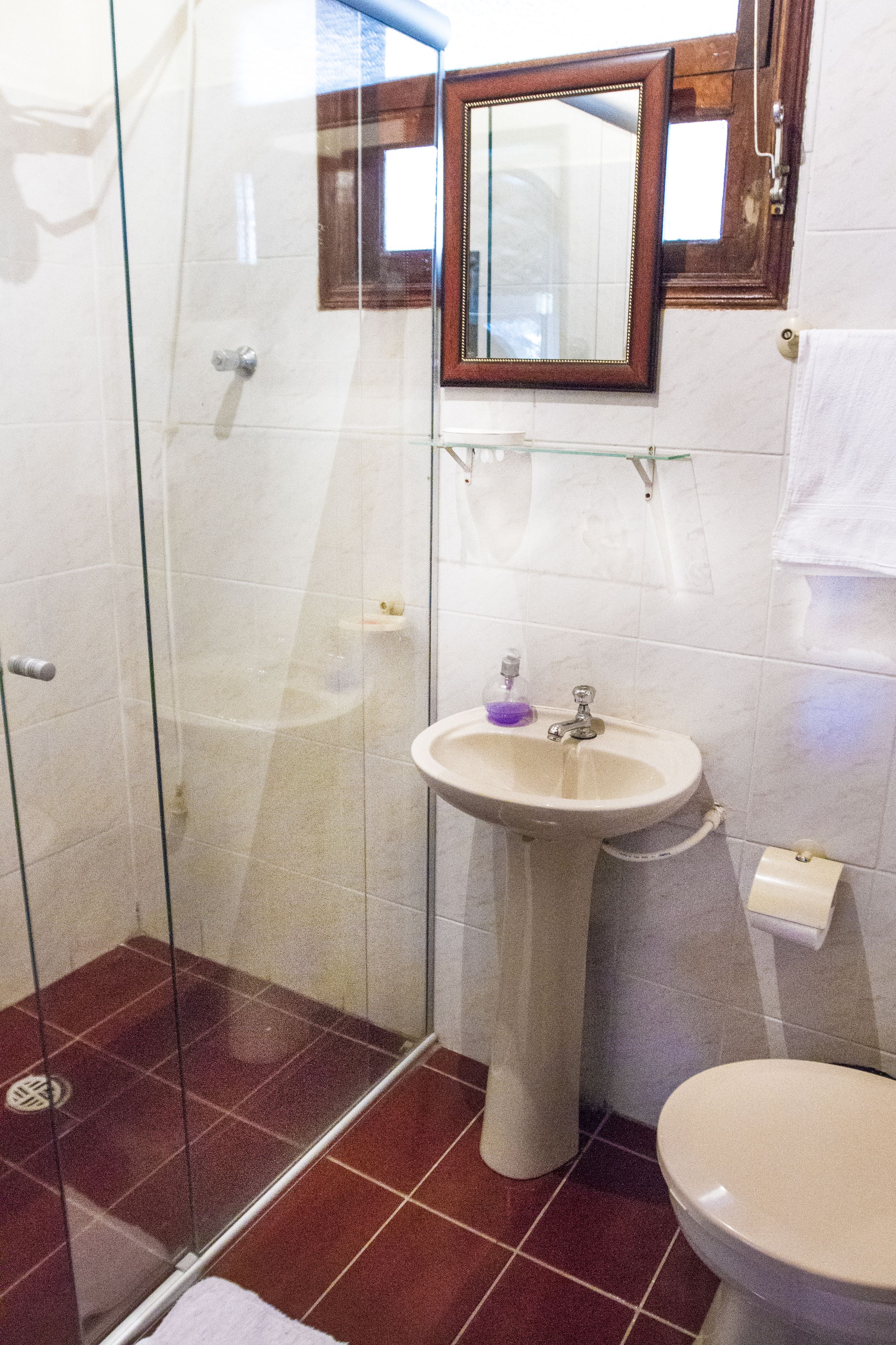 A bathroom with a glass shower enclosure, a sink with a mirror above it, and a toilet.