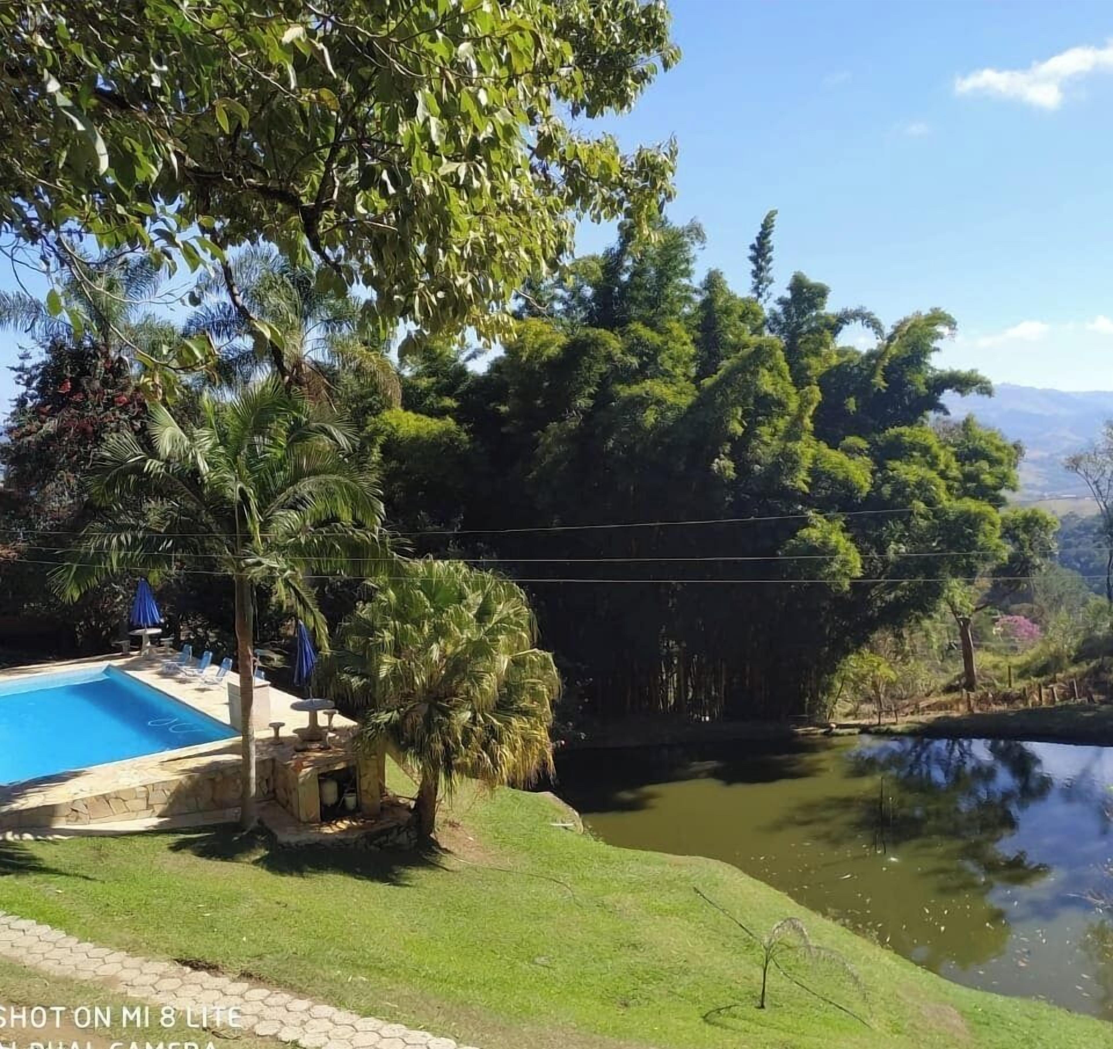 A swimming pool with lounge chairs, surrounded by lush greenery and a view of a lake.