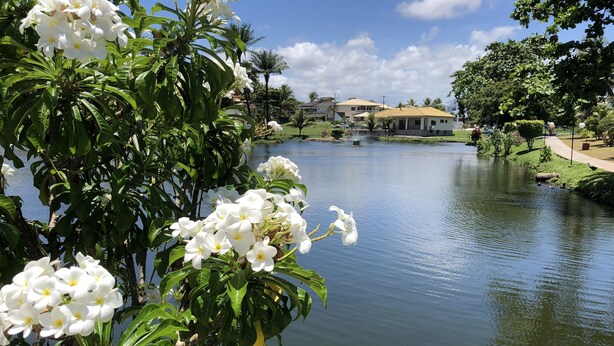 A serene lakeside view with lush greenery and white flowers in the foreground. - 5-bedroom house in condominium, comfort, air conditioning, 55" SmartTV, Wi-Fi, pool, lagoon, beach. (Vilas do Atlântico)