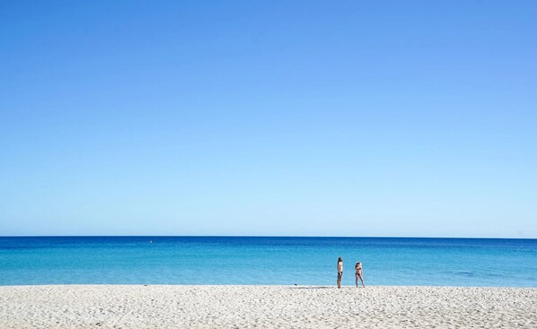 بالقرب من الشاطئ