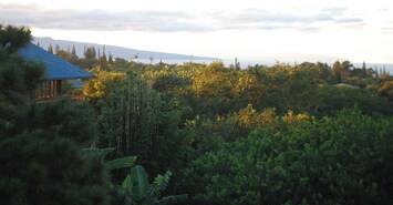 Terrain de l’hébergement 