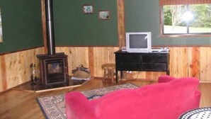 A cozy room with wooden walls, a fireplace, a television on a wooden table, and a pink chair.