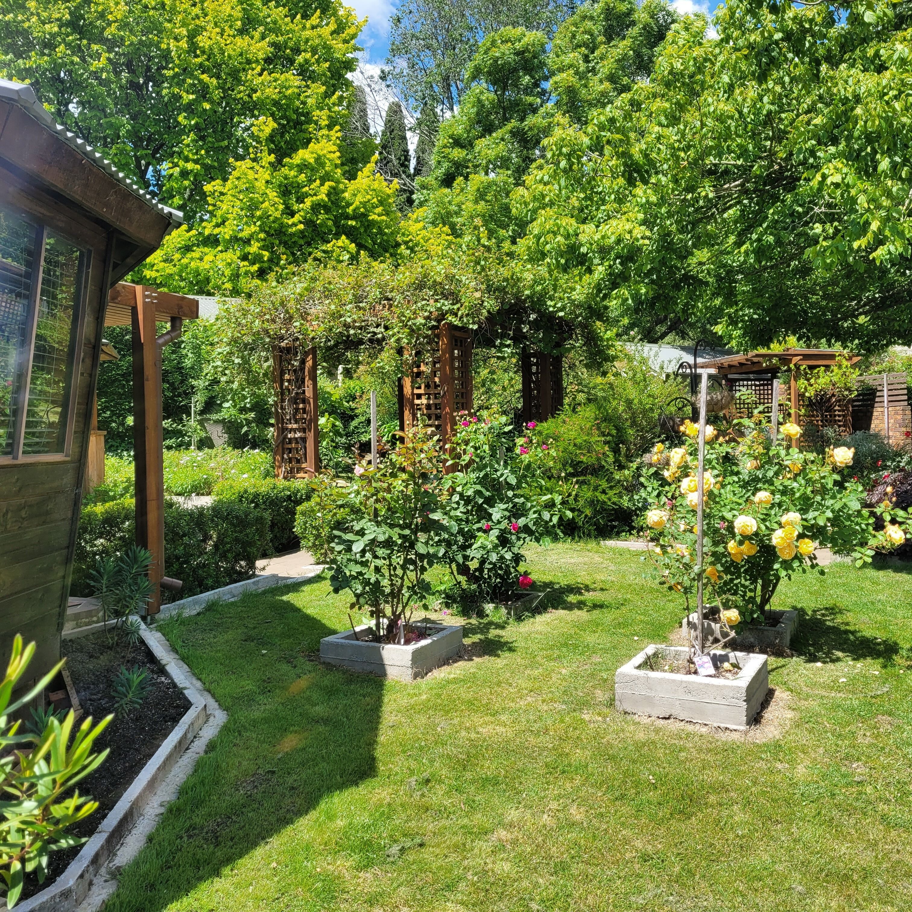A well-maintained garden with various plants and flowers, wooden pergolas, and a clear pathway.