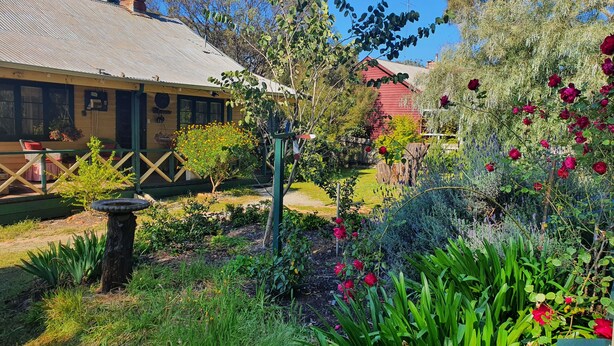 Un jardín con diversas plantas y flores, un abrevadero para pájaros y una cerca de madera.
