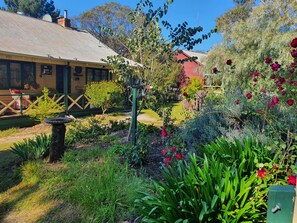 Un jardín con diversas plantas y flores, un abrevadero para pájaros y una cerca de madera.