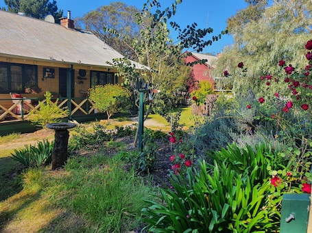 Property grounds. Woodcutter's cottage - come to enjoy the bush, peace & quiet
