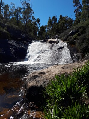 Una cascada que se precipita sobre rocas en un área boscosa.