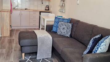 TV, DVD player, books, video library