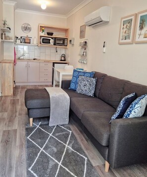 TV, DVD player, books, video library